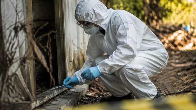 Hantavirus Quarantine Concludes: What It Means for Public Health Now | slot gudang hoki, kawasan tot
